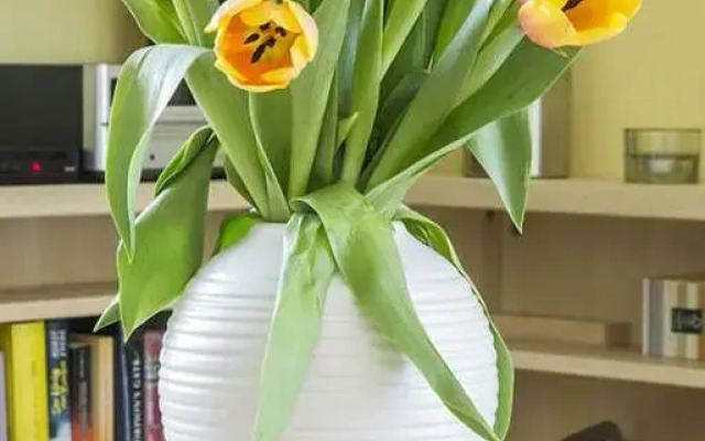 STRANDPERLE App Nr 01 max 4 Pers