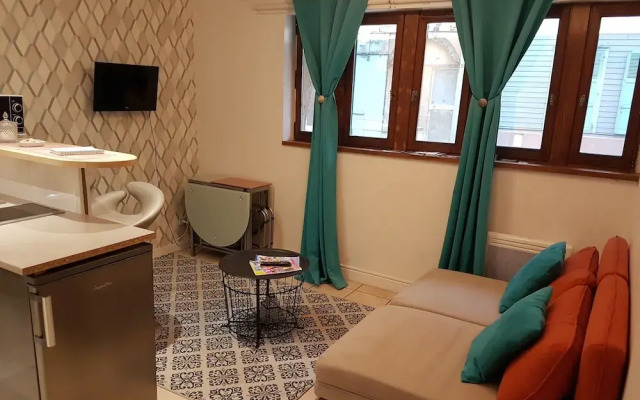 Troyes appartement centre ville