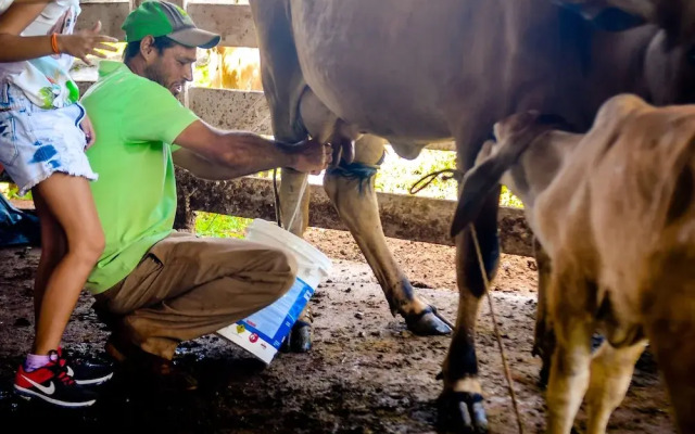 Pousada Casco de Ouro
