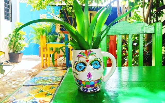 Vainilla B&B Mexico