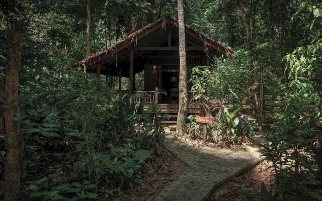 Our Jungle House