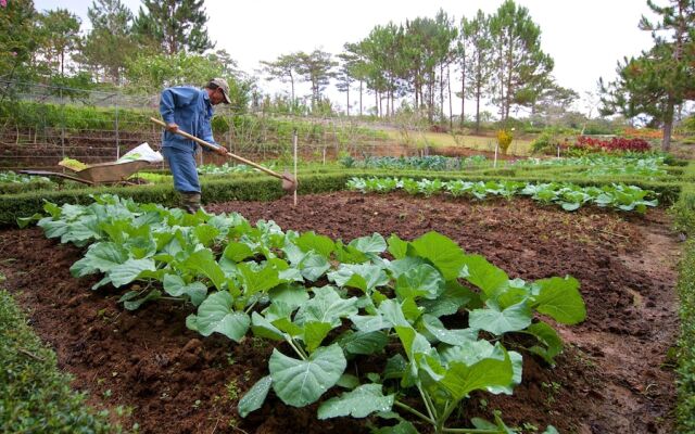 Binh An Village Dalat Resort