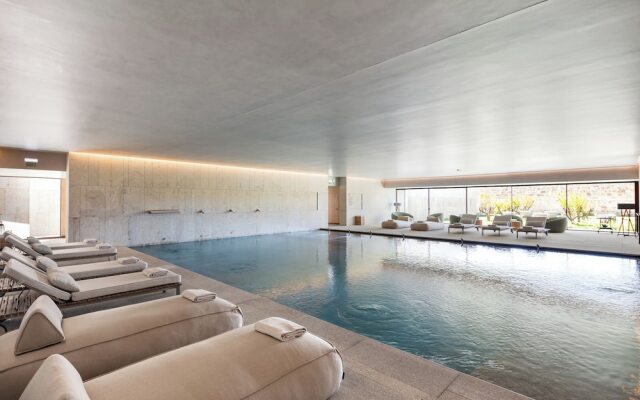 The Lince Santa Clara