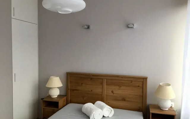 Blue Buddy - Hello GDYNIA