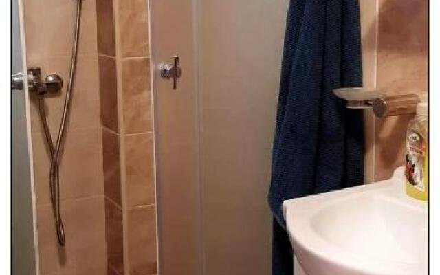 Dobricin konak, Apartman 202