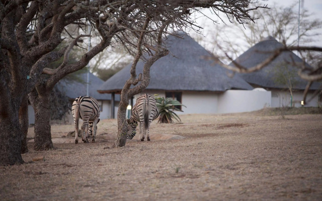 Ubizane Wildlife Reserve