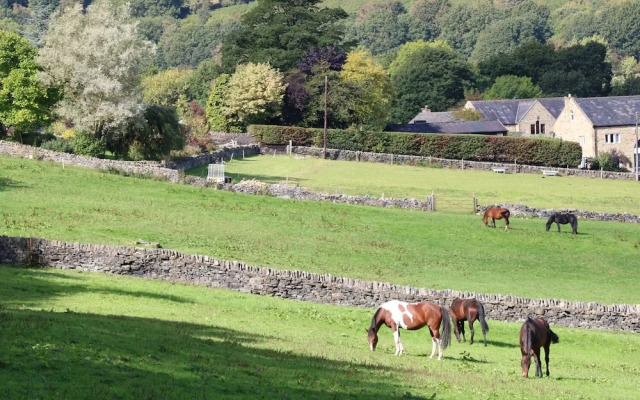 The Stables