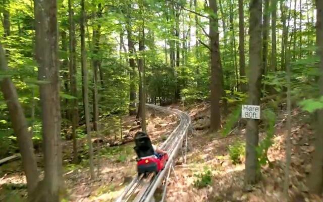 Gunstock & Lakes Region Year Round Chalet