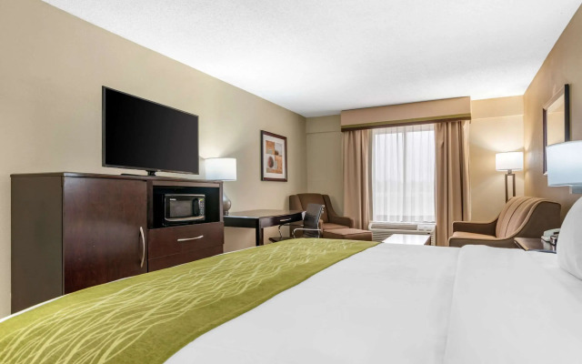 Comfort Inn Pearl-Jackson