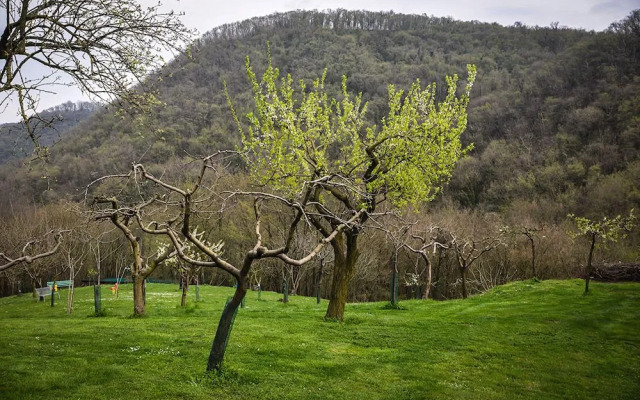 Bed and Breakfast La Quiete