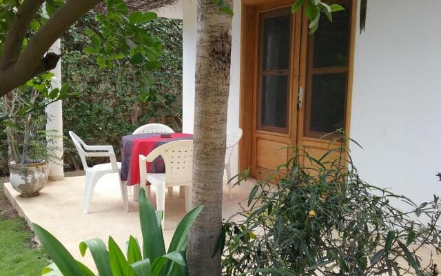 Jardin d'Afrique