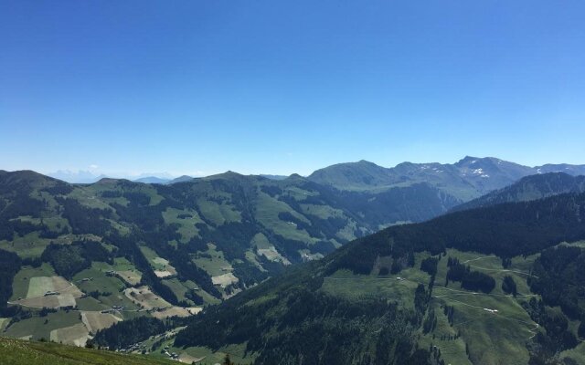 Alpbach Bergwald