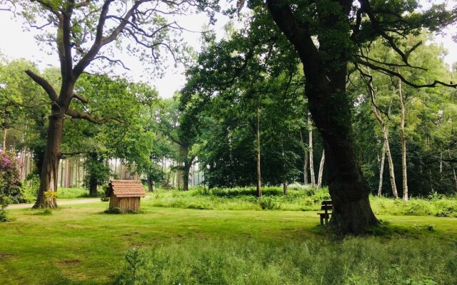 Hollicarrs - Bumblebee Lodge