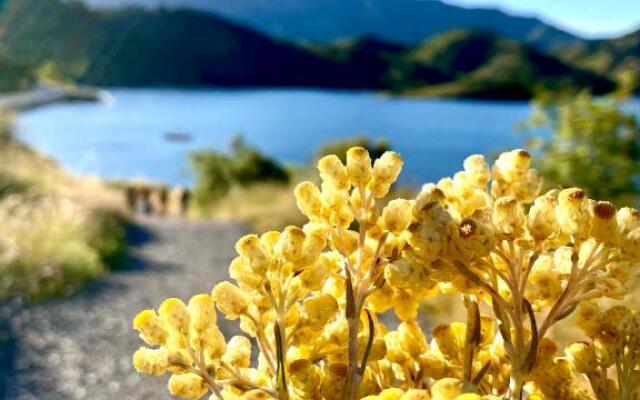 Apartaments Chenin Blanc-Priorat-