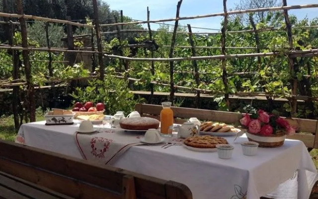 Villa Vincenza Country House