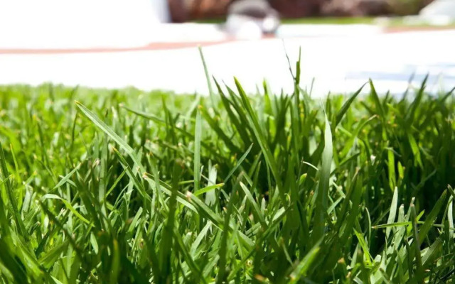 Kamezí Boutique Villas