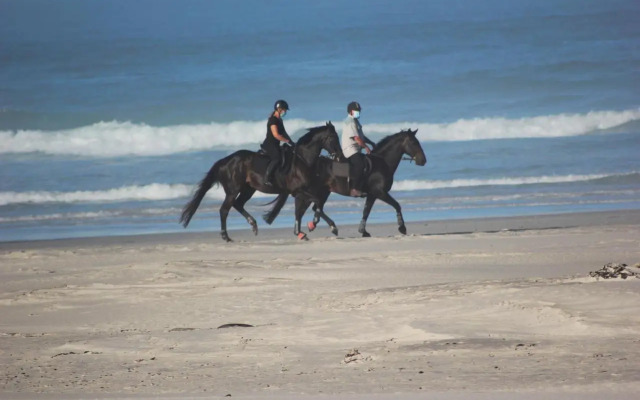 14 Penguin Place, Melkbosstrand