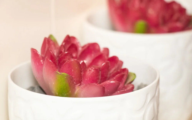 Ferienparadies Reifnhof