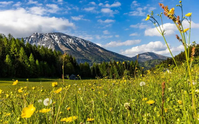 Das Haus am Berg: Nestelberg17