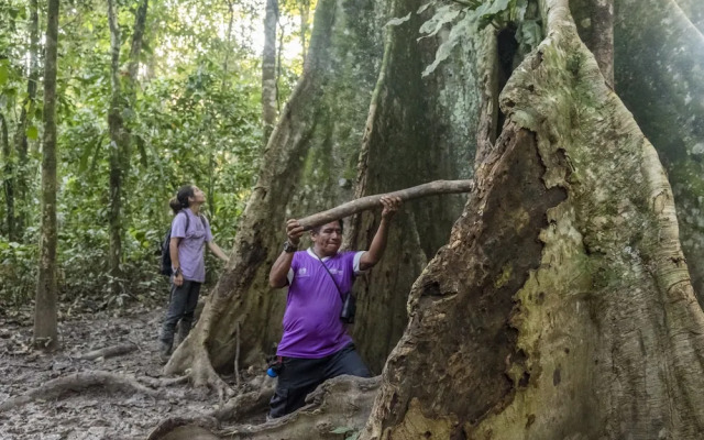 lupuna jungle tours and expeditions