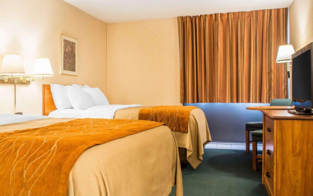 Comfort Inn Binghamton I-81