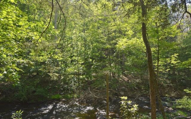 Rosies Creekside Retreat - 3 BR Escape!