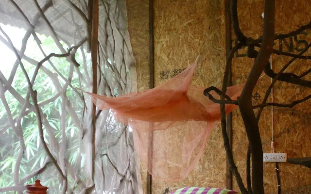 Saraya Art Cafe B&B