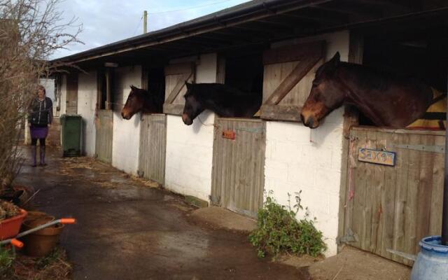 Martleaves Farm