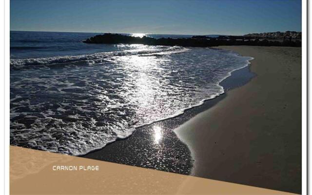 T2 – *Pratique et Business* - La Conciergerie Martinkey’s*