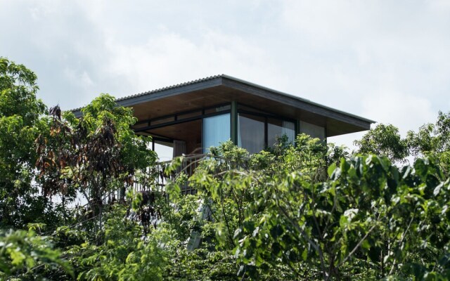 The Canopy