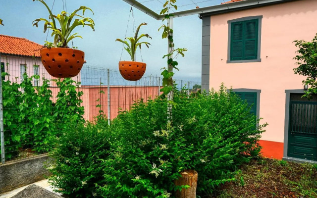 Os Ferreirinhos a Home in Madeira