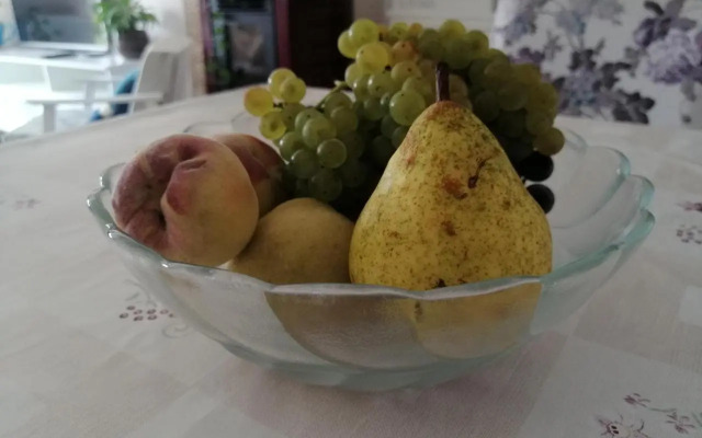 Apartman Kopriva