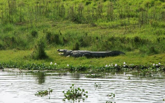 Chitwan Park Village