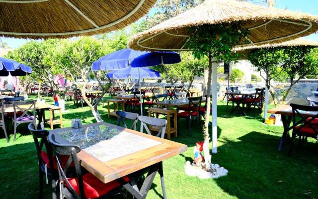 Mi̇ya Garden Ti̇ny House