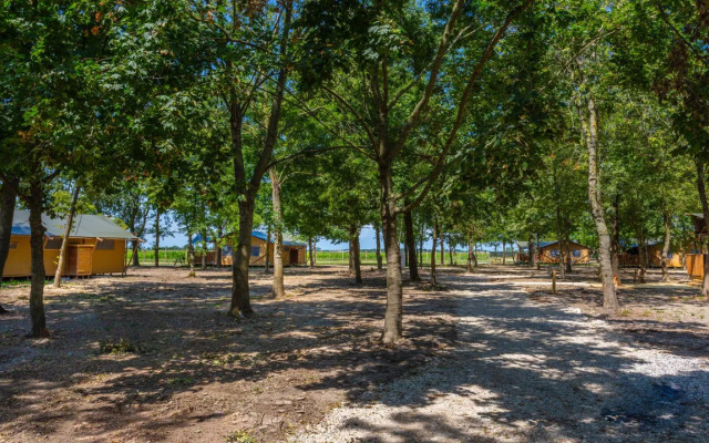 Tenuta Regina Agriturismo e Glamping