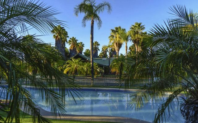 Desert Palms Alice Springs