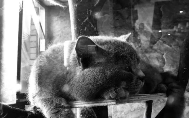 Xinmu Lanlian Boutique Hotel