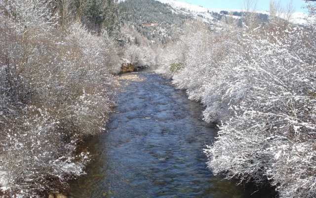 El Bosque de La Anjana