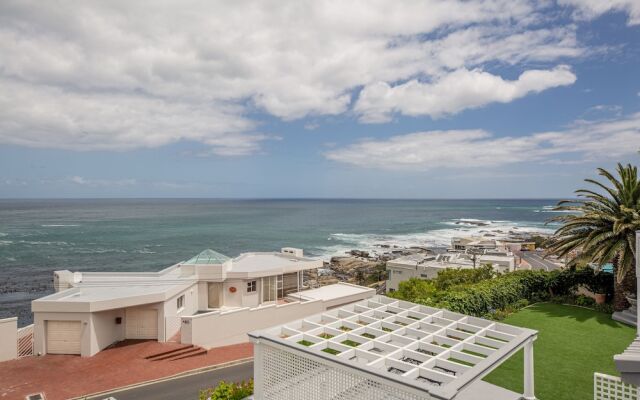 Indigo Bay - The Penguin