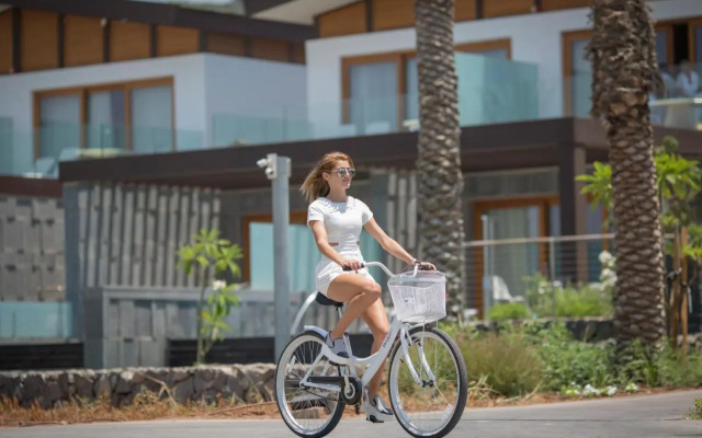 The Setai Sea of Galilee