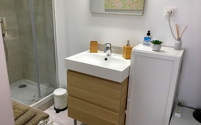 Entre olivier et mimosa