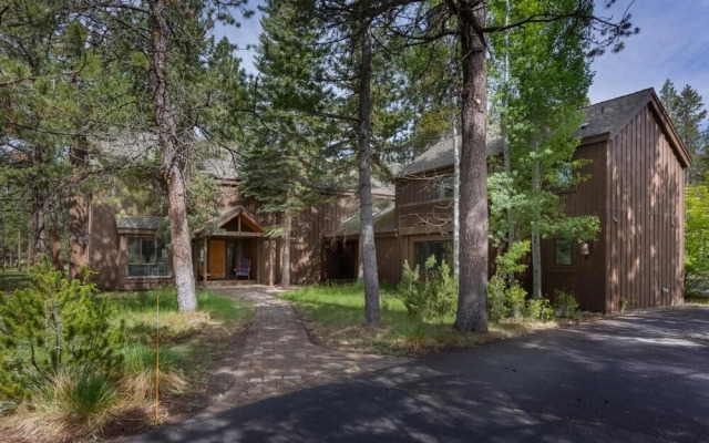 Salishan Lane - Skylight