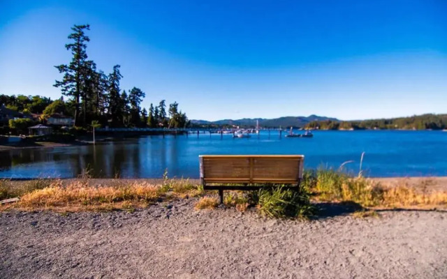 Seagull Studio Vacation Guest Suite