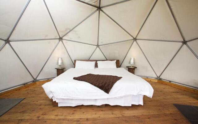 Glamping Dome