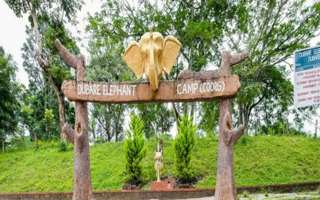 Dubare Elephant Camp