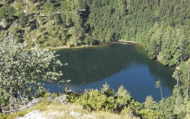 Pension Salzburger Hof