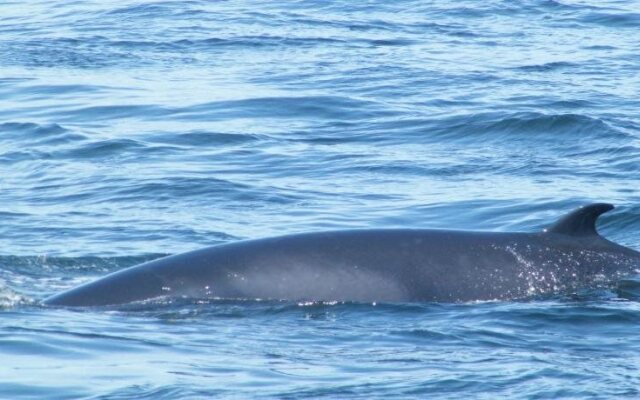 Motel Studio La Croisière