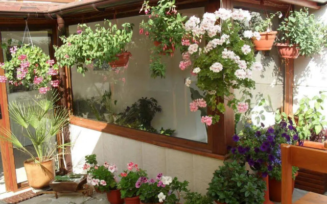 Family Hotel Nadejda