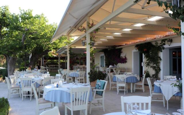 Vassia 3