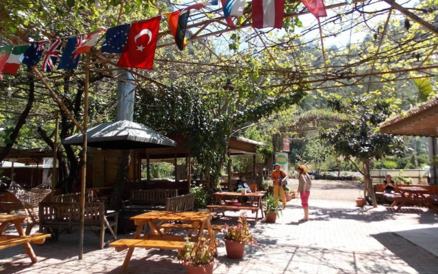 Olympos Orange